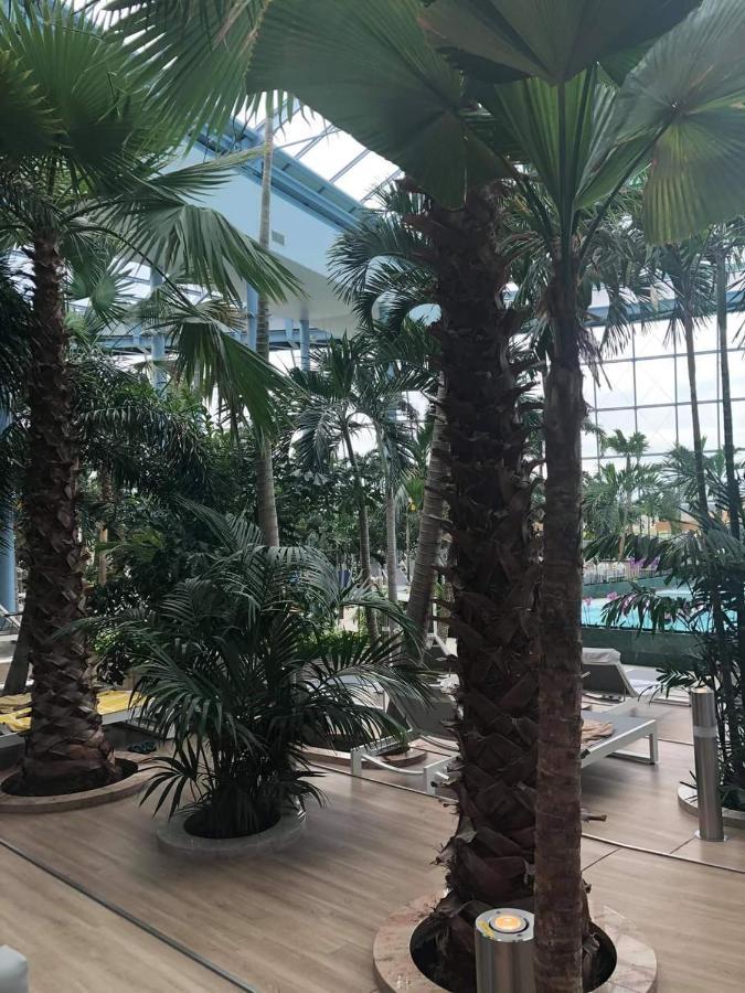Grabska Osada Apartamenty - 100M Od Suntago Park-Domki Ogrzewane Caloroczne Mszczonów Εξωτερικό φωτογραφία